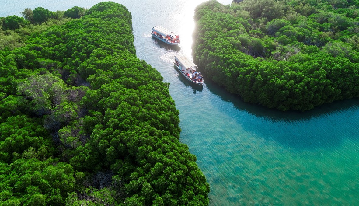 أفضل الأماكن في جنوب السعودية