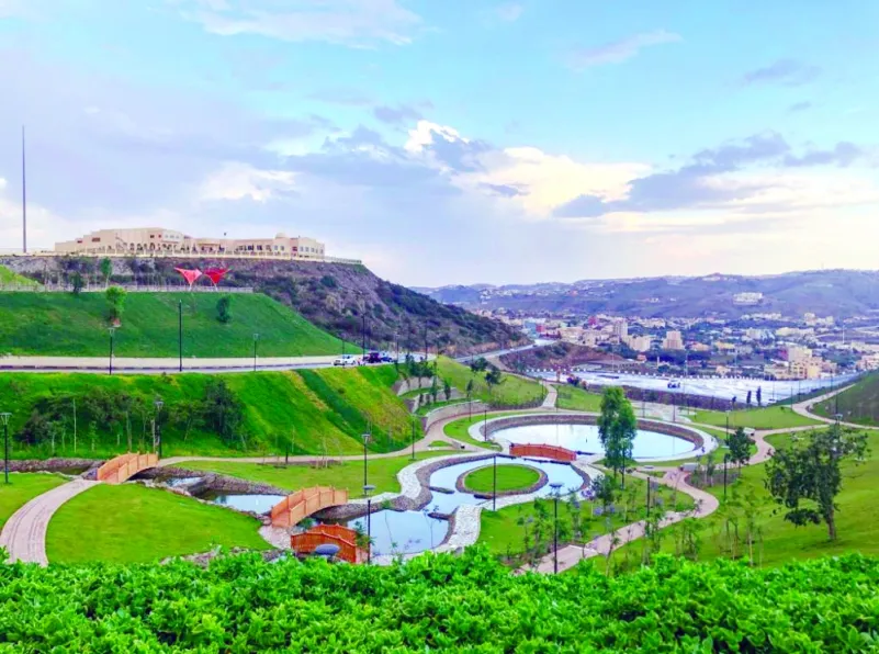 أفضل الأماكن في جنوب السعودية