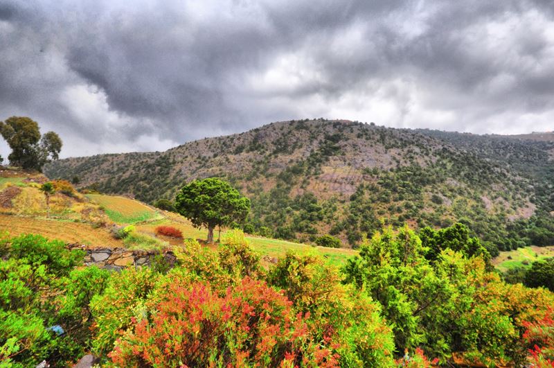 أفضل الأماكن في جنوب السعودية