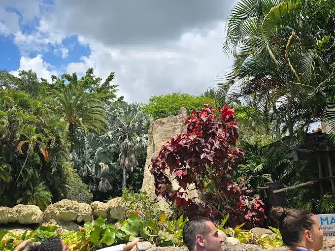 Discovery Cove Orlando