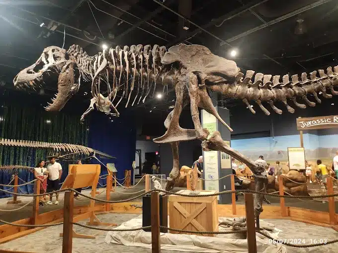 Orlando Science Museum