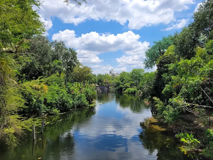 Disney's Animal Kingdom