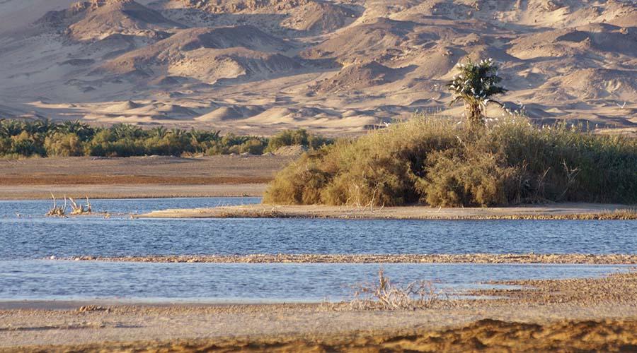 Bahariya Oasis