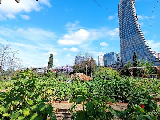 Istanbul Botanic Garden