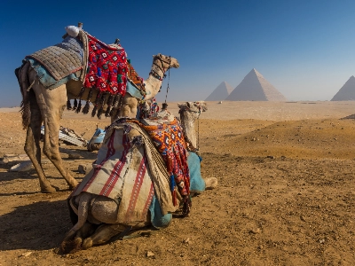 Reasons to Visit Egypt